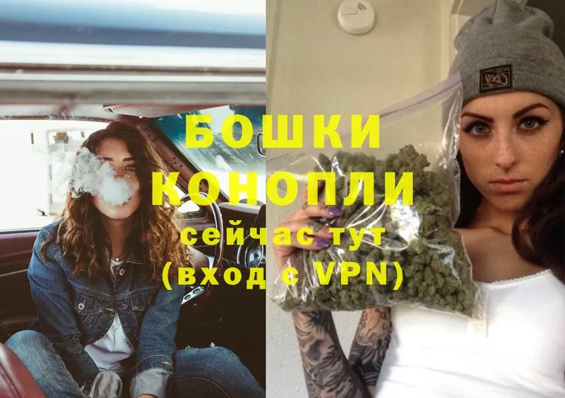 где купить наркоту  Багратионовск  Канабис SATIVA & INDICA 